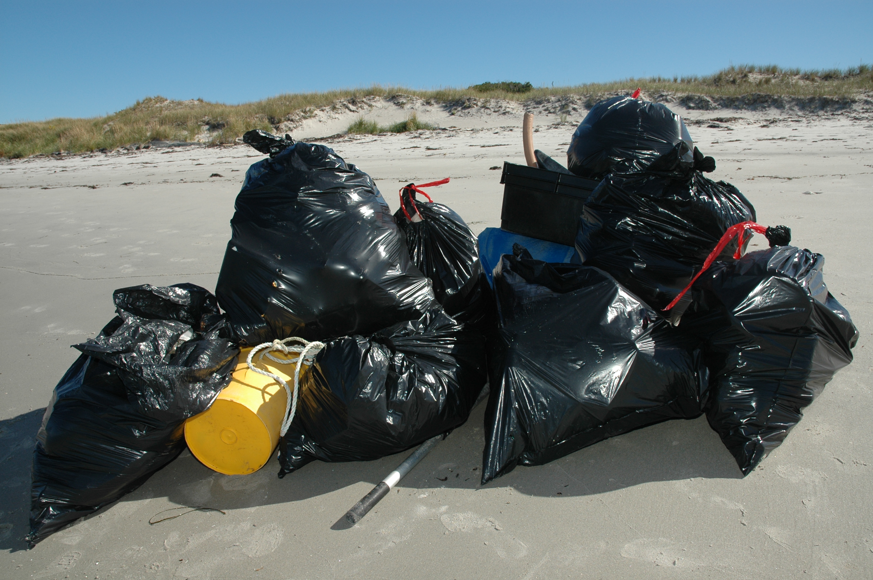 Coastal cleanup image