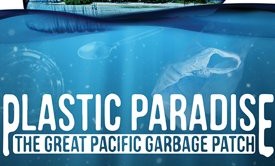 Plastic Paradise image