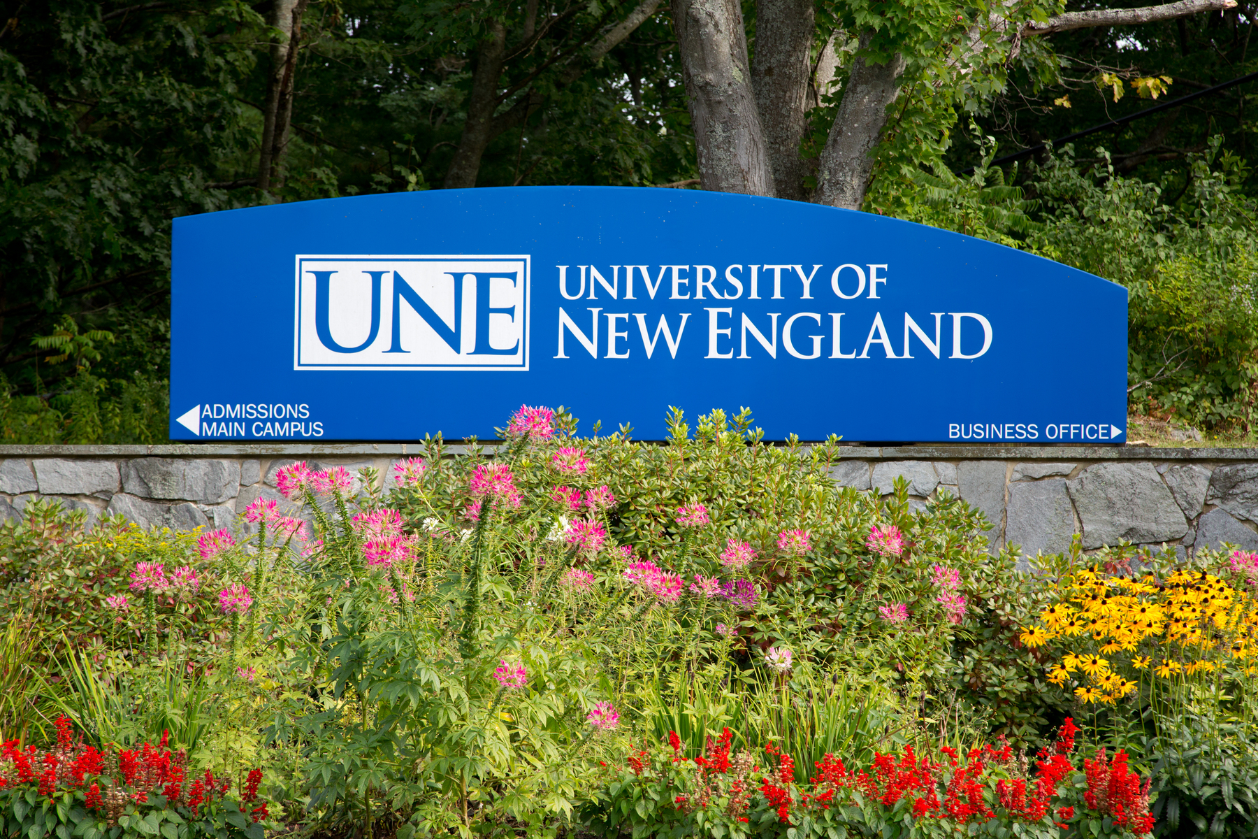 Visit UNE | Undergraduate Admissions | University of New England in