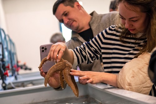 A student holding a starfish above a small water tank