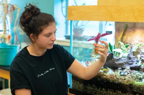 A student holds up a plant in a beaker in front of a large terrarium