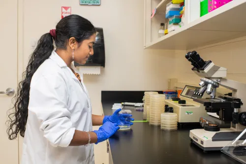 A student in a white coat prepares slides for a microscope in a lab