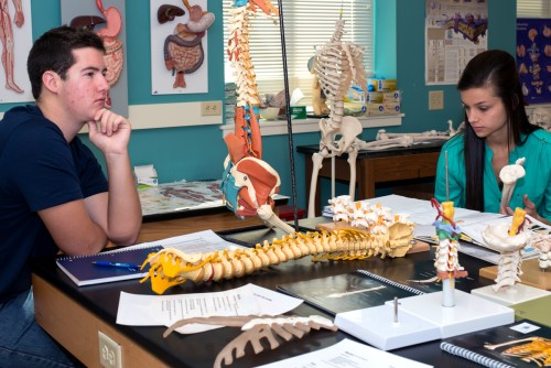 Two pre-physician assistant students look over their anatomy books during a class, surrounded by skeletal structures