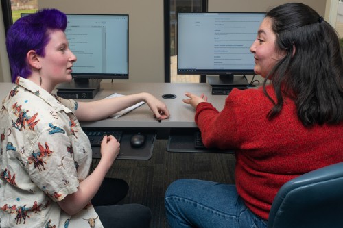 Two students talk to each other in the computer lab of the library