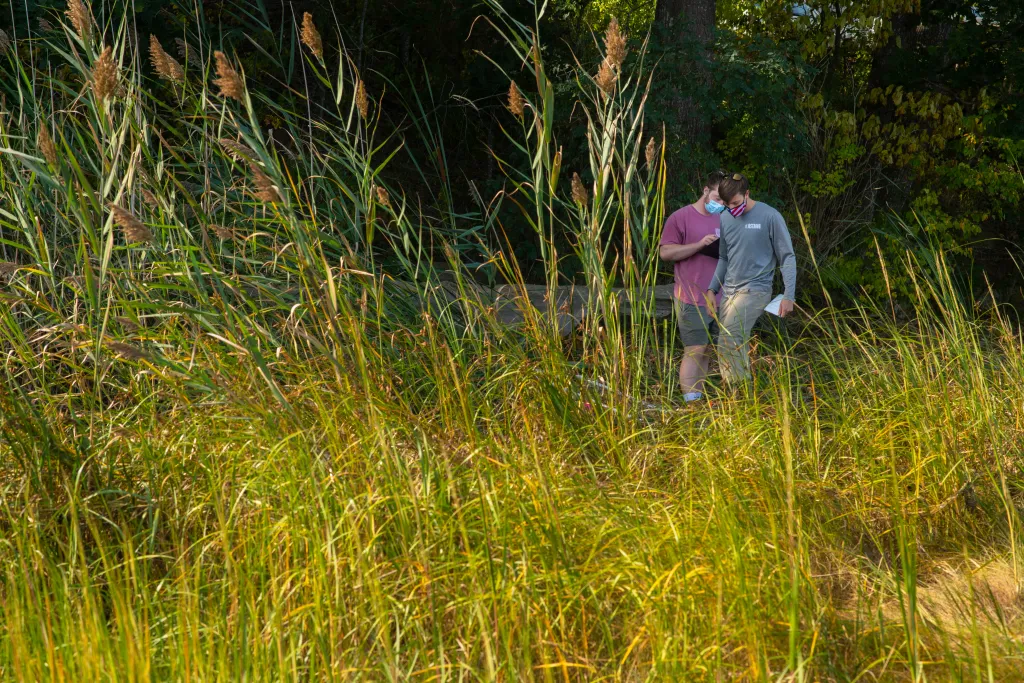 The shoreline is home to many living things — plant, avian, and aquatic.