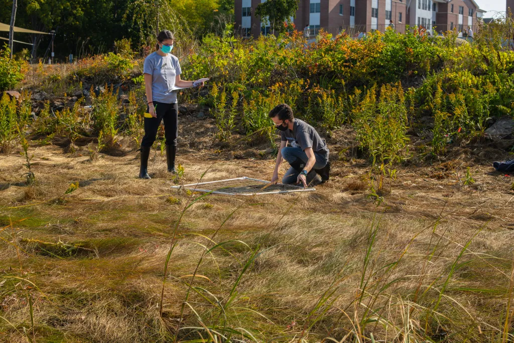 Students use quadrats to survey shoreline plant life.