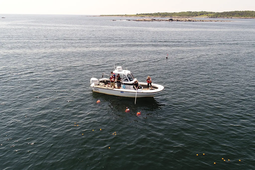 U N E students work on a research boat surrounded by water