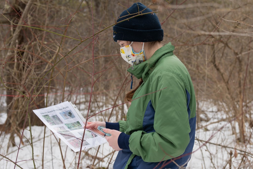 Environmental Science 4+1 B.S./M.S. | University Of New England In Maine