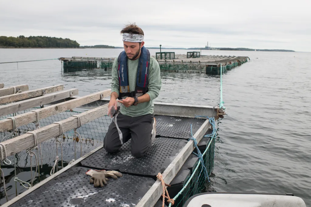 Connor Jones ’19 at Bangs Island Mussels