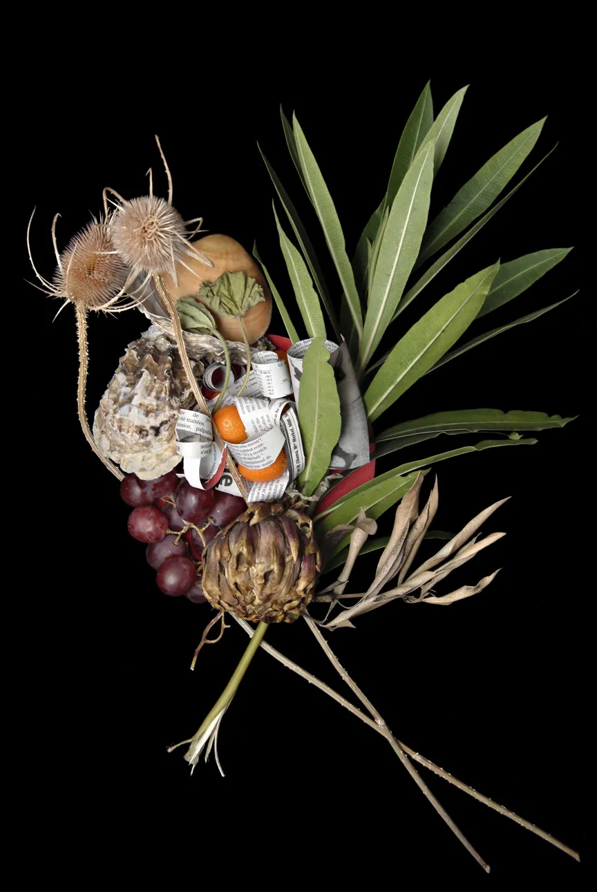 Image of plants and leaves against black background