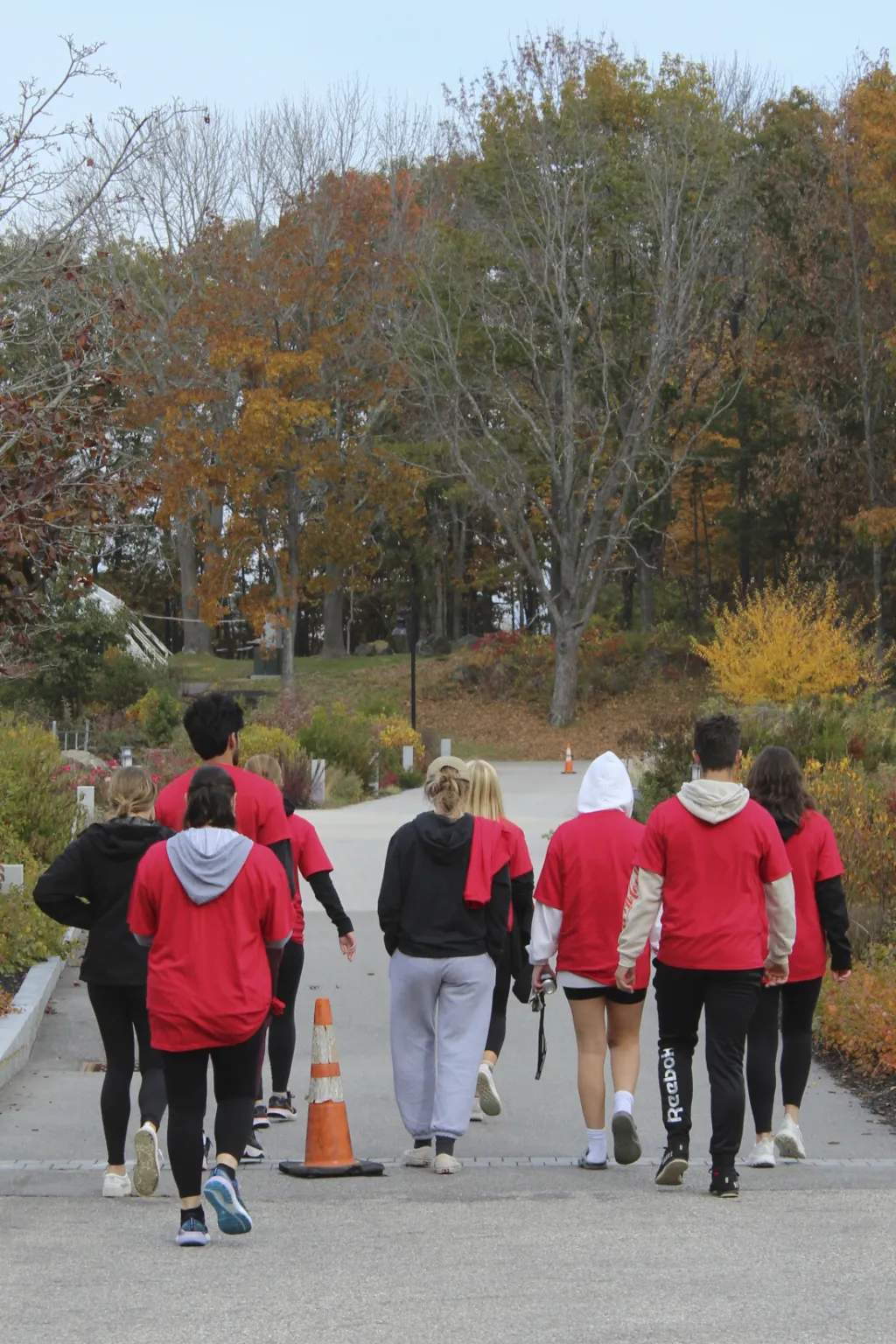 Polio walkers 4