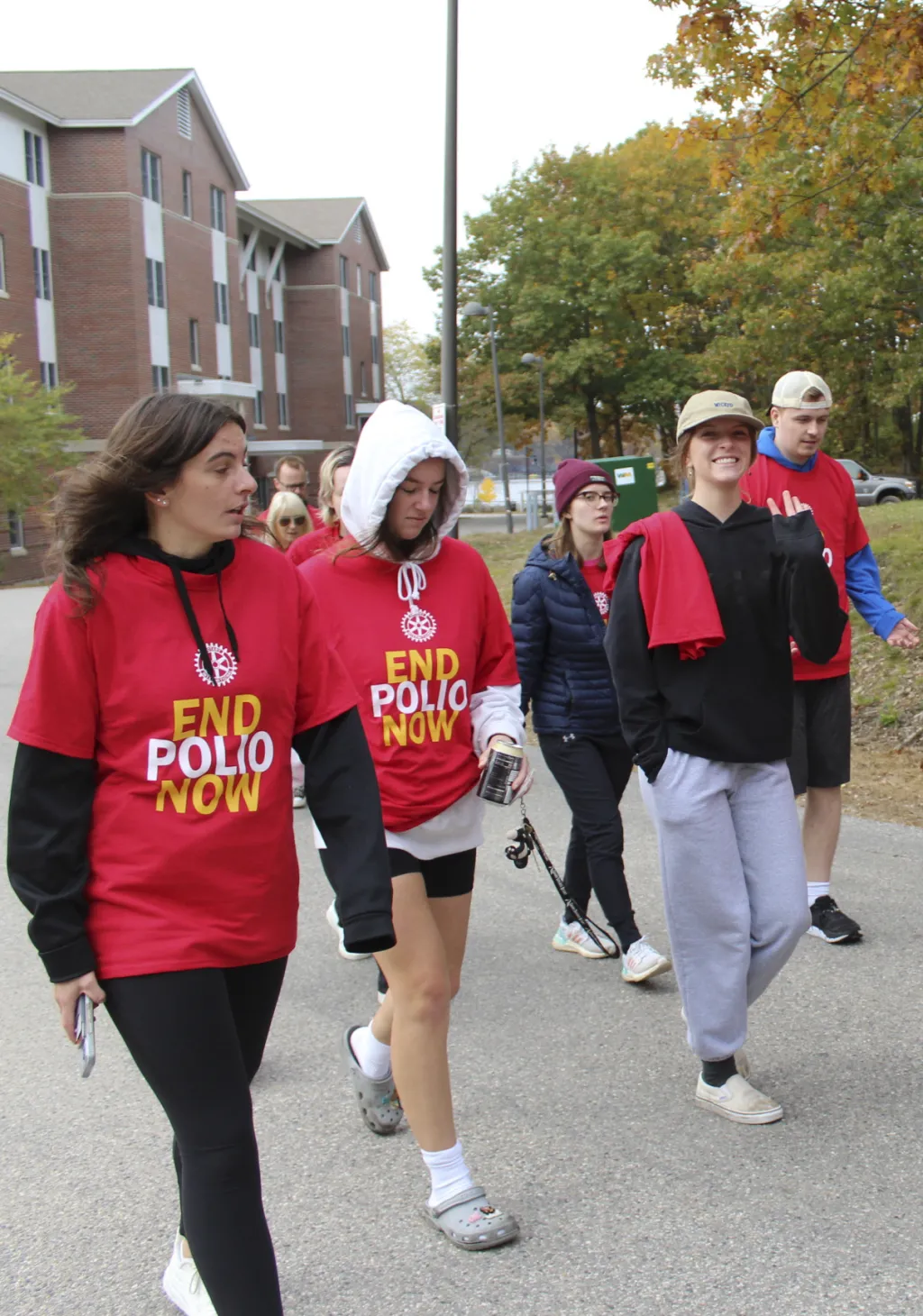 Polio walkers 3