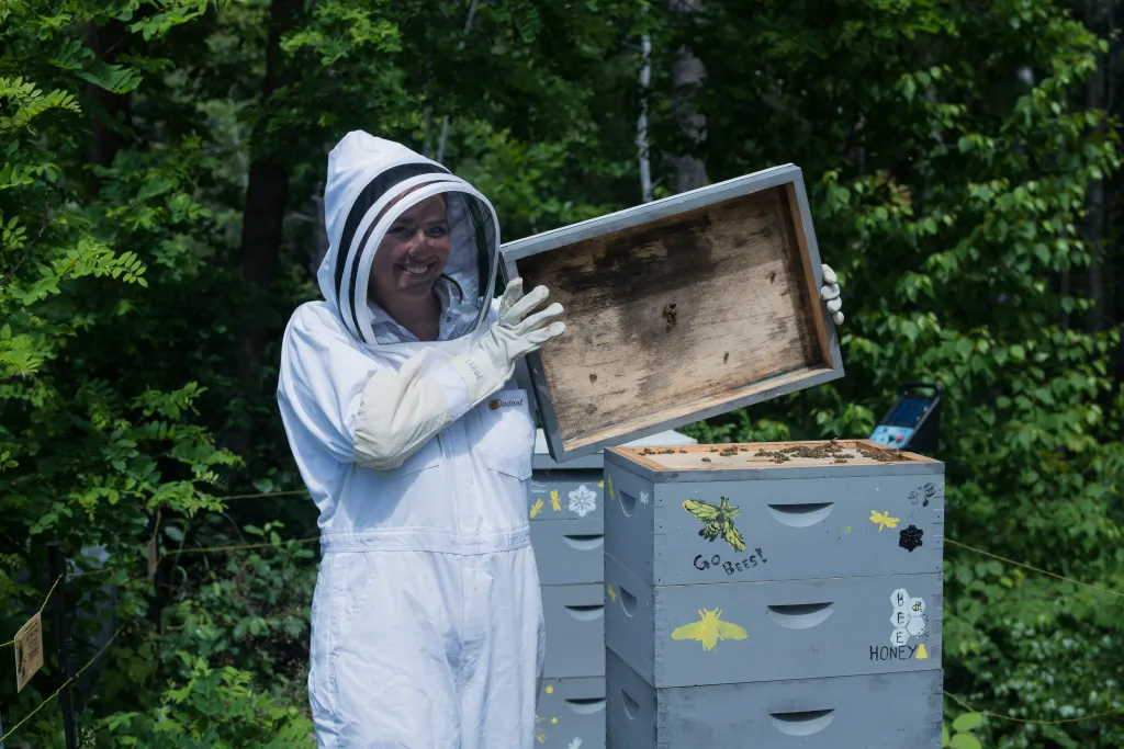 A U N E student beekeeper lifts the lid off a bee hive