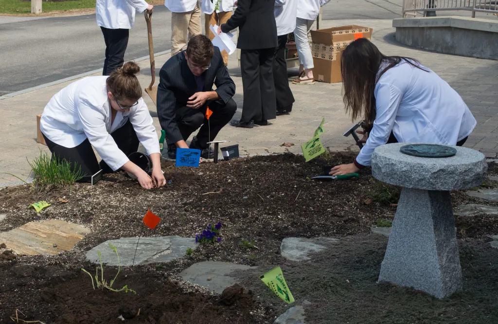 Health Professions students planting herbs