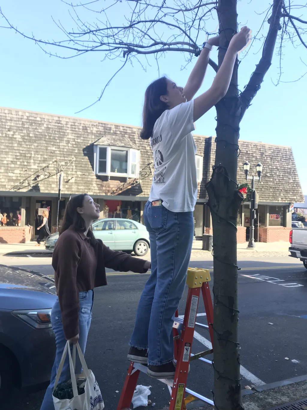 Students hang holiday lights