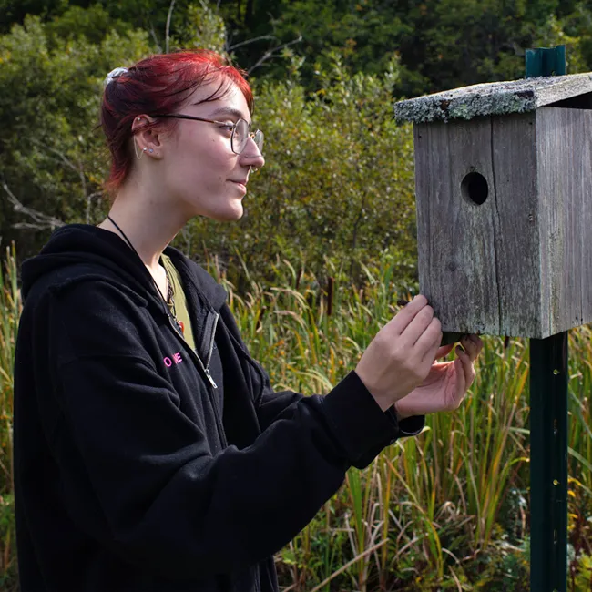 A student opening a bird house