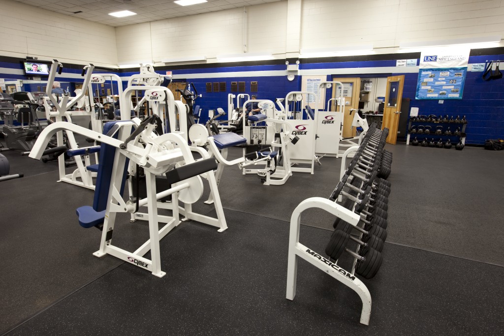 New england fitness online equipment