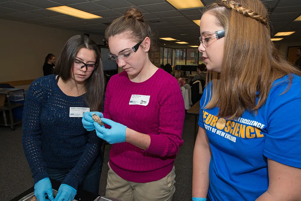 Three neuroscience students looking at a piece of brain