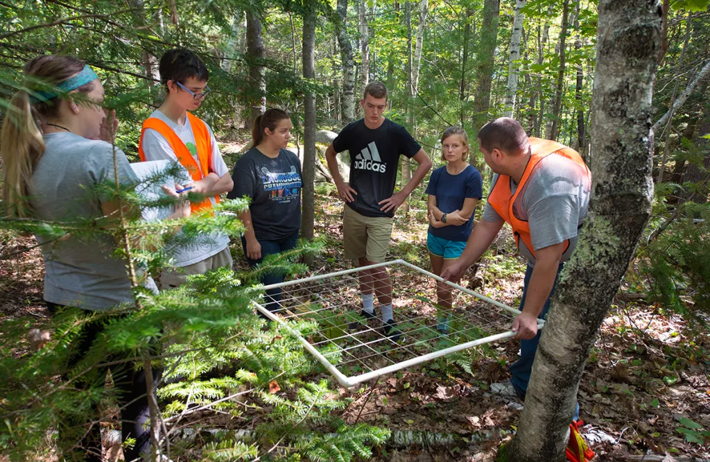 Five students prepare to do fieldwork in a forest off the Biddeford campus