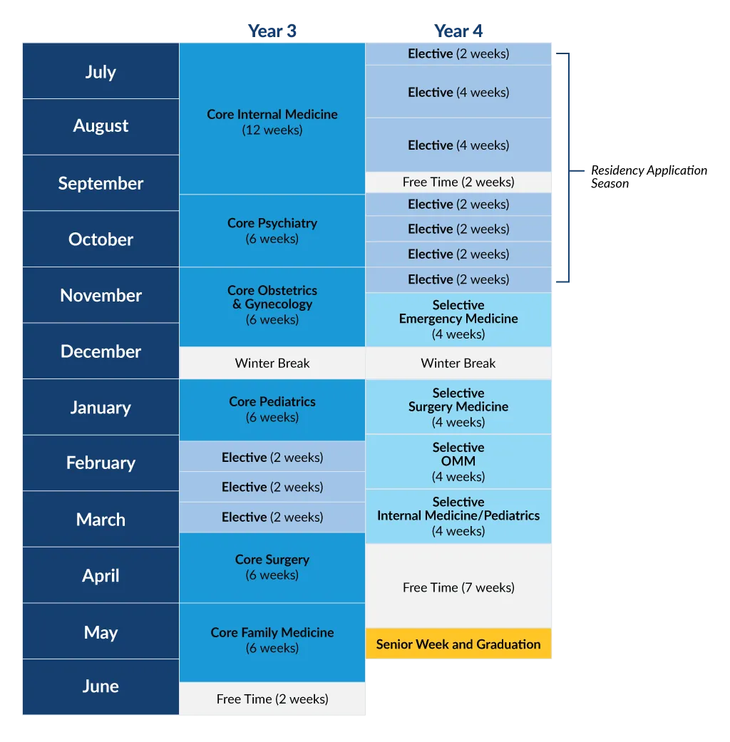 A table displaying the yearly timeline for C O M clerkships