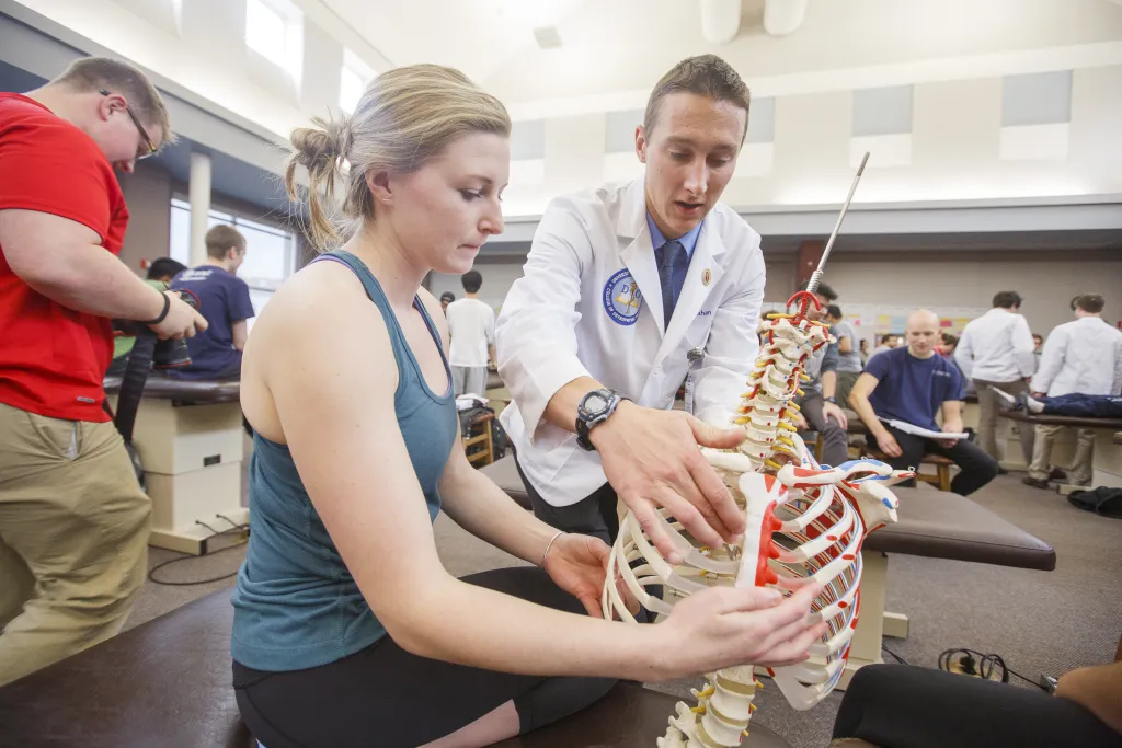 A student reviews a rib cage model with their professor in the O M M lab