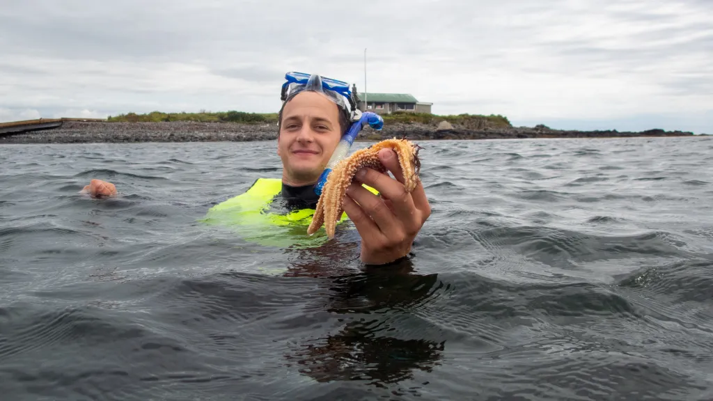 A student holds a starfish while scuba diving