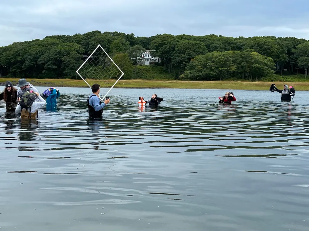 Students walk through ocean water at high tide