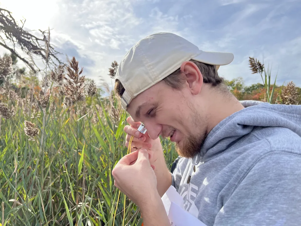 Student studies plant life