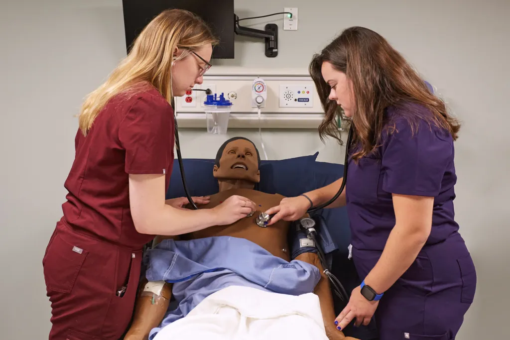 Two P A students use stethoscopes to listen to cardiac sounds from a patient simulator