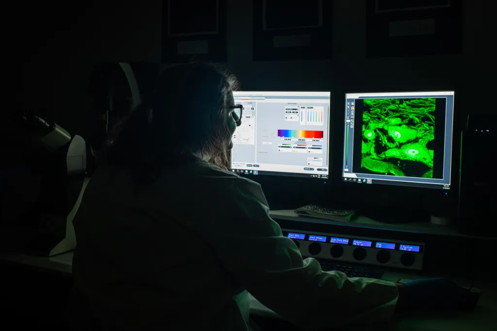 A student reviews a microscopic image of neurons on a computer screen