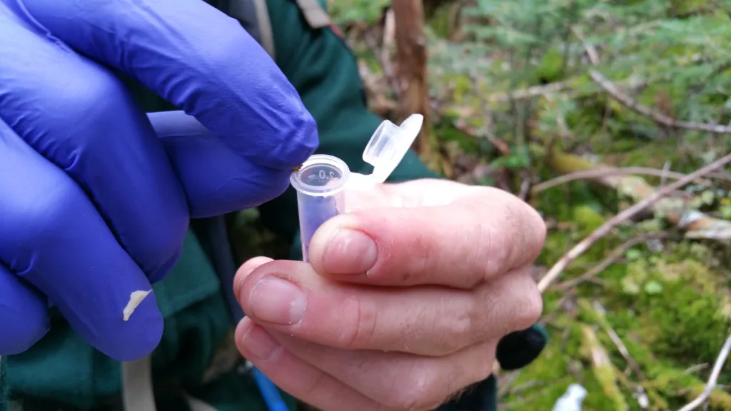 Sample collection for the NBL research