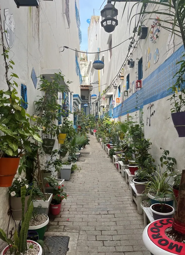 The Medina of Tangier 