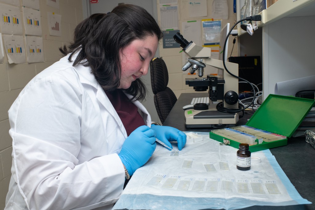 A student in a white coat and latex gloves prepares slides for a microscope