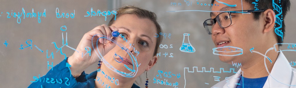 Eva Rose Balog writes chemistry formulas related to her research on plexiglass with UNE student Huy Ha observing.