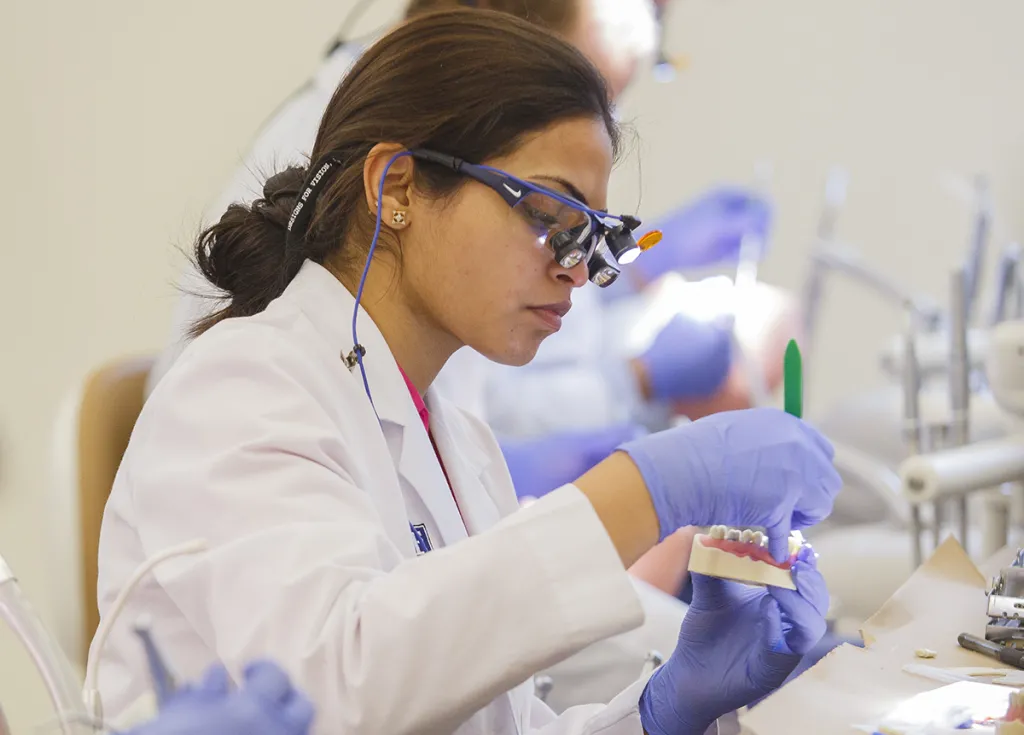 A dental medicine student in a white coat and mask works on a dental typodont model