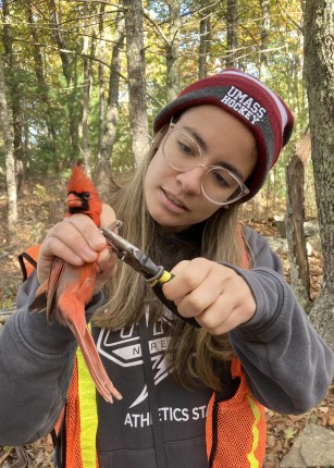 Noah Perlut's bird-banding class