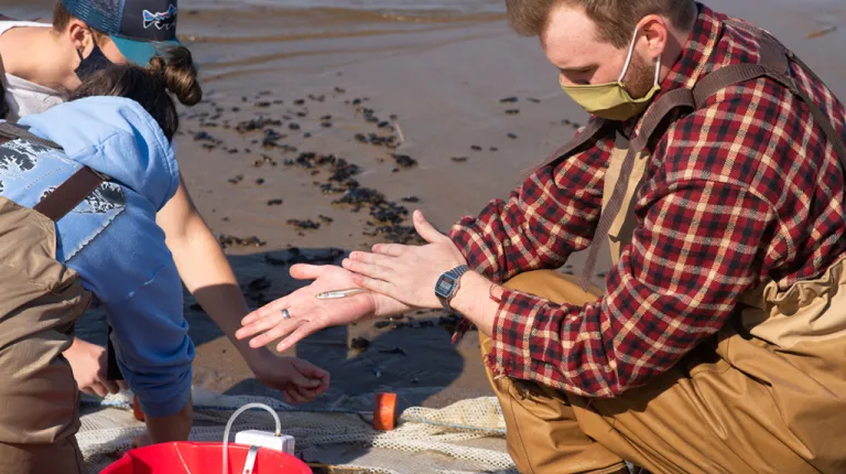 Marine Science students on the beach