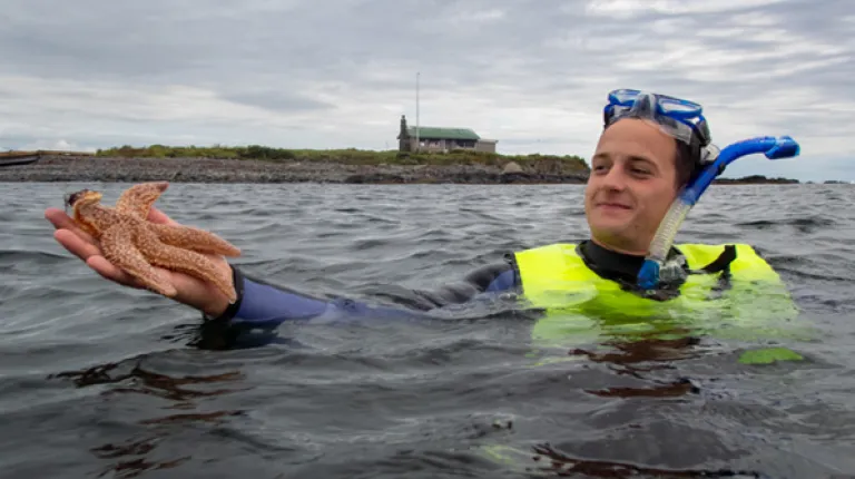 A student snorkeling and holding up a starfish