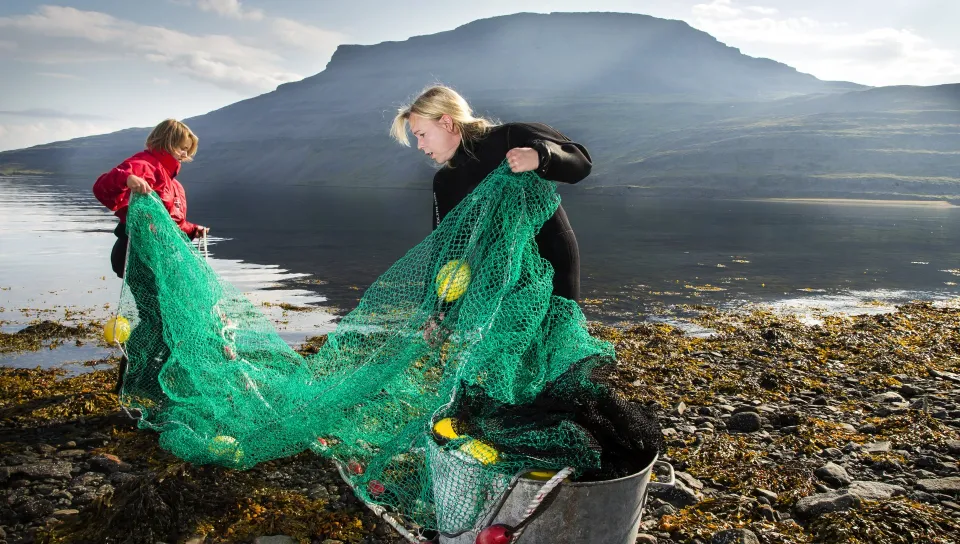 Marine Biology at the University of Iceland, Reykjavik