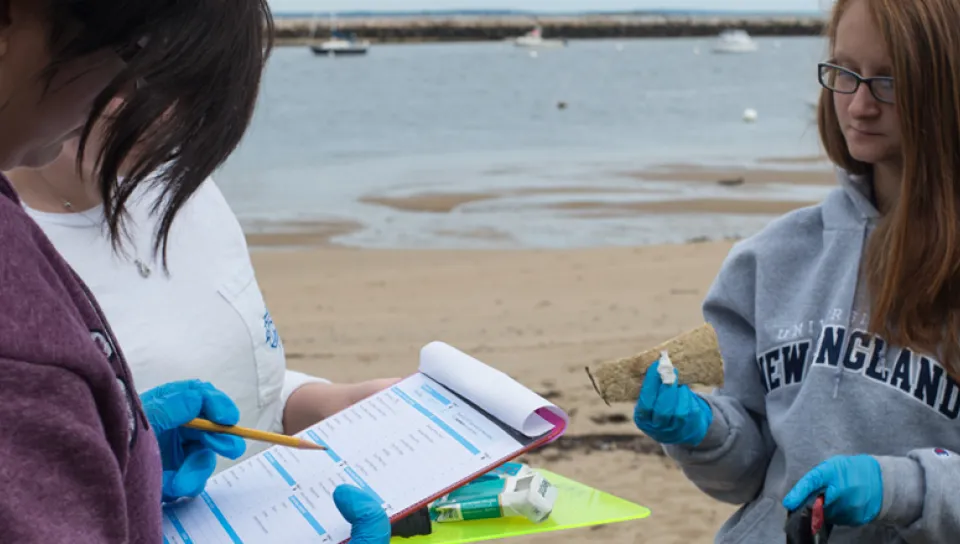 Students at a beach cleanup