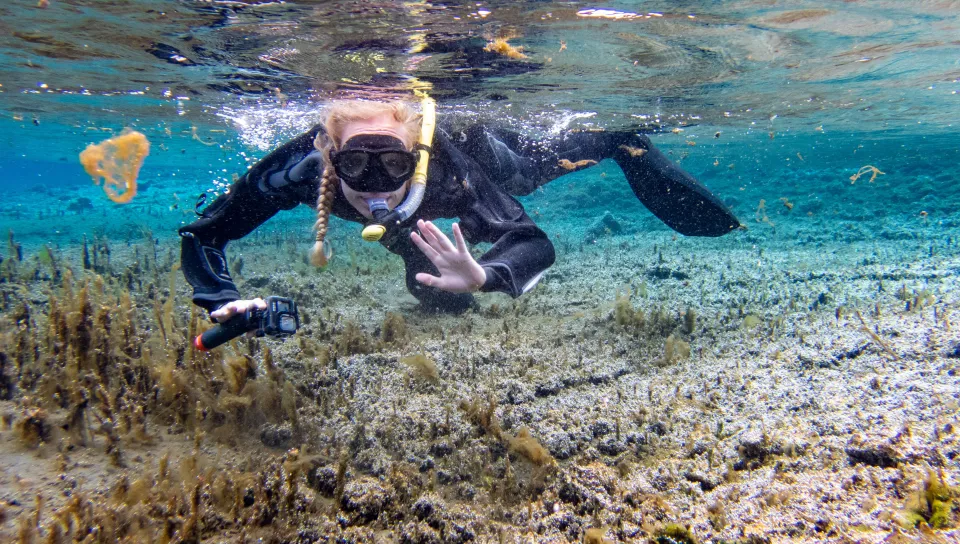 A student is underwater and waving to the camera while snorkeling