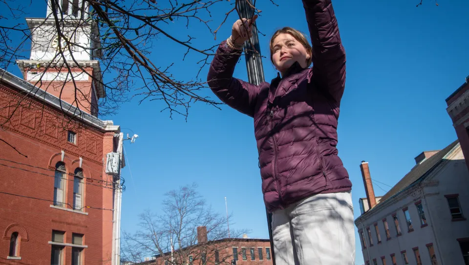 A student hangs lights on a tree outside Biddeford City Hall