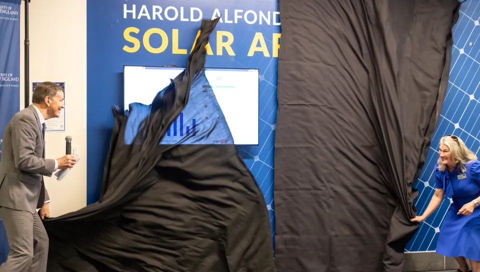 Two people tear down a black curtain to unveil a mural