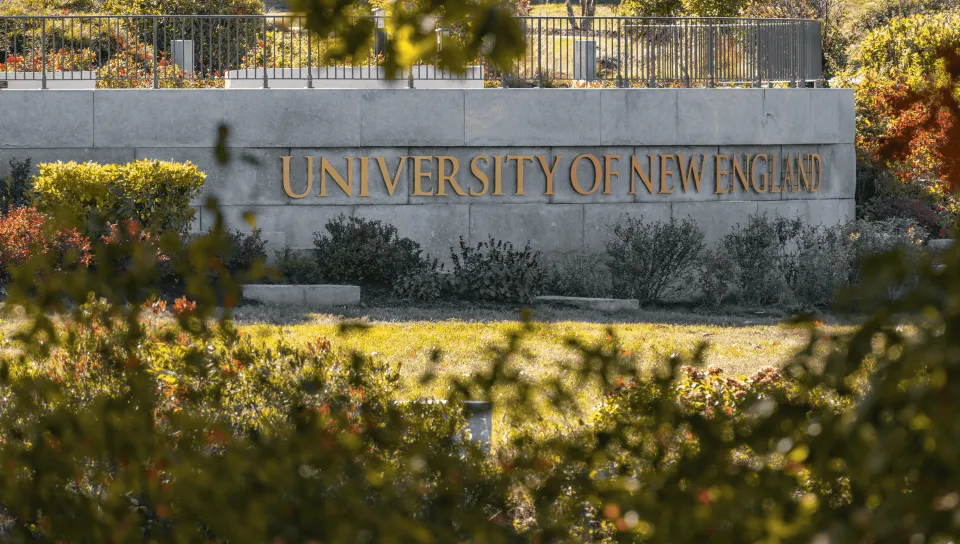 A stone sign bearing the name "University of New England" is seen through the trees