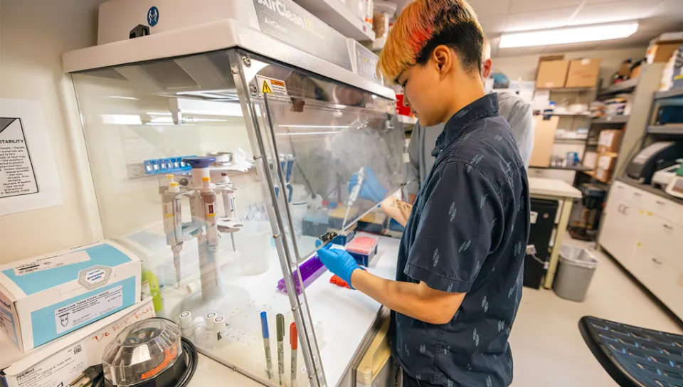 Ruby Motulsky pipetting DNA samples