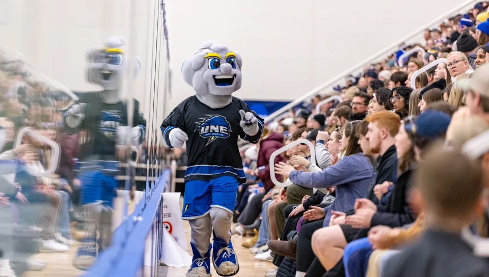 UNE mascot Stormin' Norman greets the crowd at a hockey game