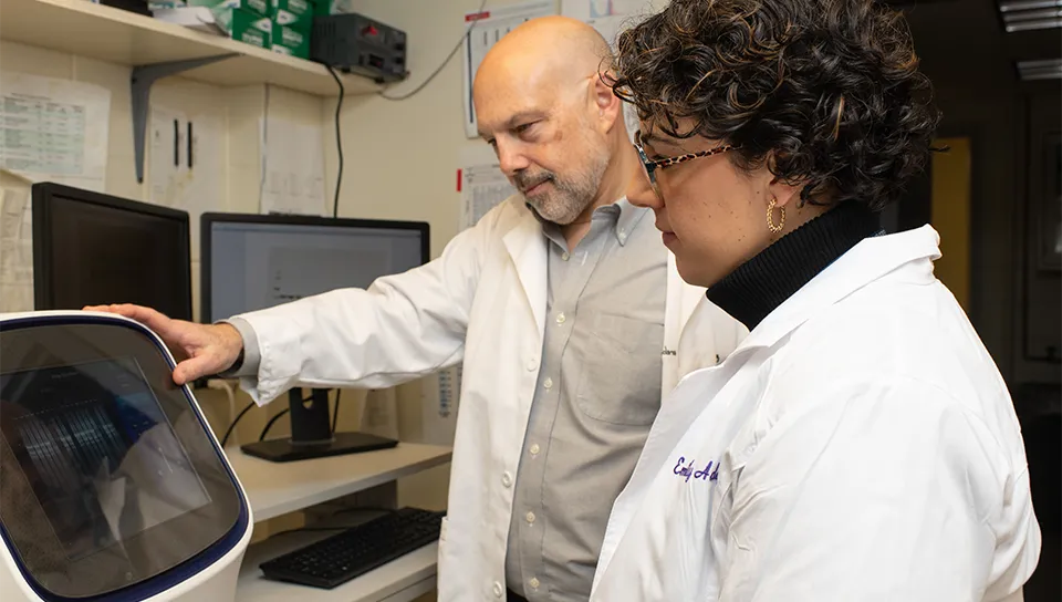 Derek Molliver in his lab works equipment with a graduate student