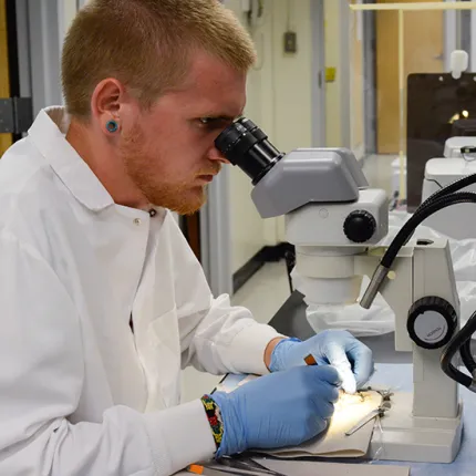 A student looks through a microscope