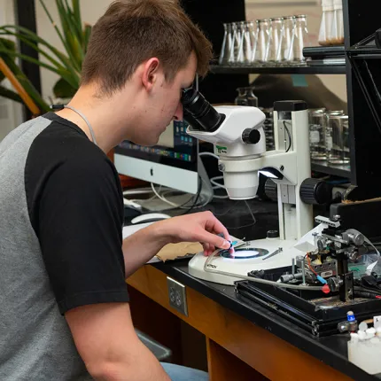 A student looks into a microscope