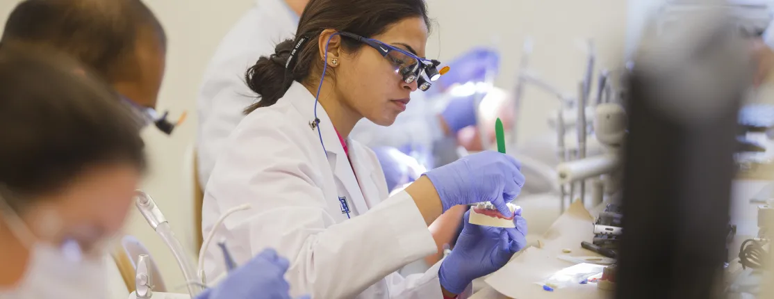 A row of dental medicine students practice examining teeth on a typodont